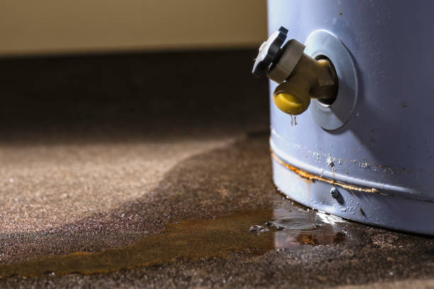 Best Local water damage restoration  in Joplin, MO