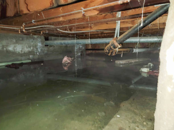 Best Flooded house restoration  in Joplin, MO