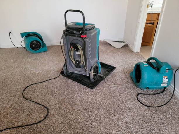 Best Water damage restoration experts  in Joplin, MO