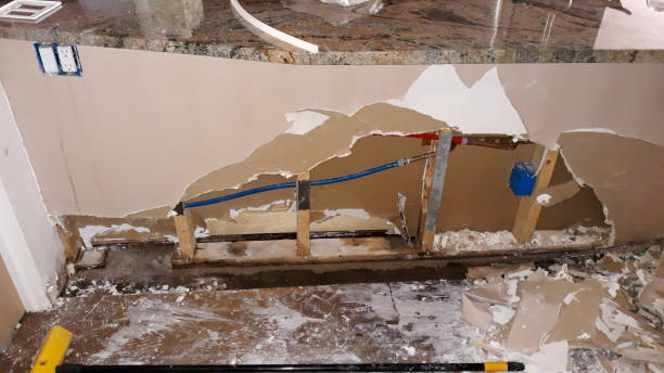 Best Professional water damage repair  in Joplin, MO