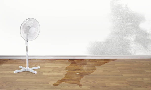 Professional Water damage restoration in Joplin, MO