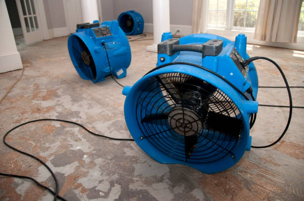 Best 24/7 water damage repair  in Joplin, MO