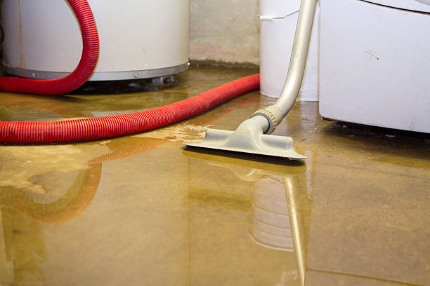 Best 24-hour water damage restoration  in Joplin, MO