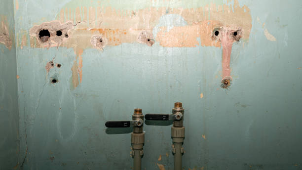 Best 24-hour water damage restoration  in Joplin, MO