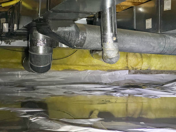 Best Water damage cleanup near me  in Joplin, MO