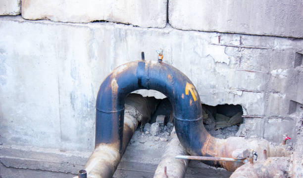 Best Mold removal after water damage  in Joplin, MO